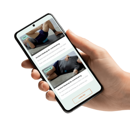 VibeBody Videoguider
